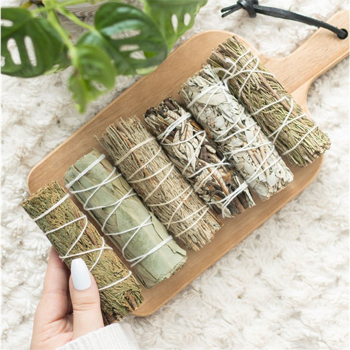*Sage Smudge Stick Variety Set (12/24)