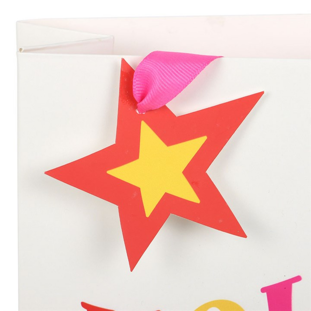 23cm Holly Jolly Gift Bag